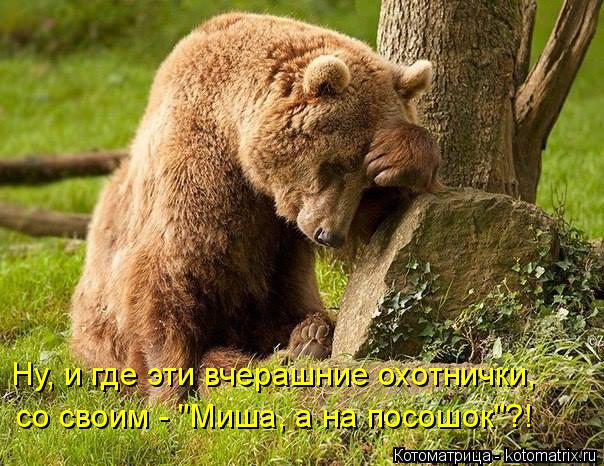 Котоматрица: Ну, и где эти вчерашние охотнички,  со своим - "Миша, а на посошок"?!