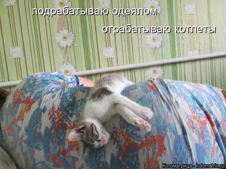 Котоматрица: подрабатываю одеялом отрабатываю котлеты