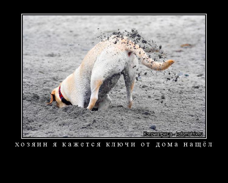 Котоматрица: хозяин я кажется ключи от дома нащёл 