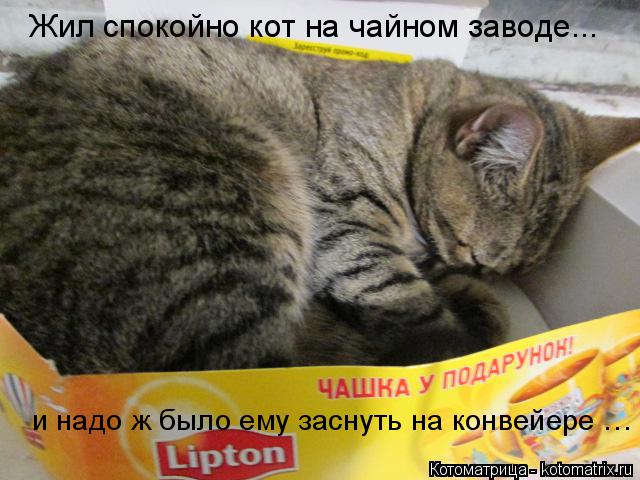 Жил спокойно кот на чайном заводе... и надо ж было ему заснуть на конвейере …... Котоматрица: Жил спокойно кот на чайном заводе... и надо ж было ему заснуть на конвейере …
