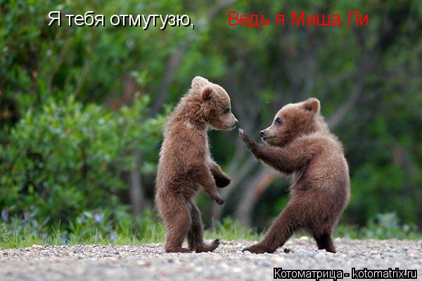 Котоматрица: Я тебя отмутузю,  Ведь я Миша Ли