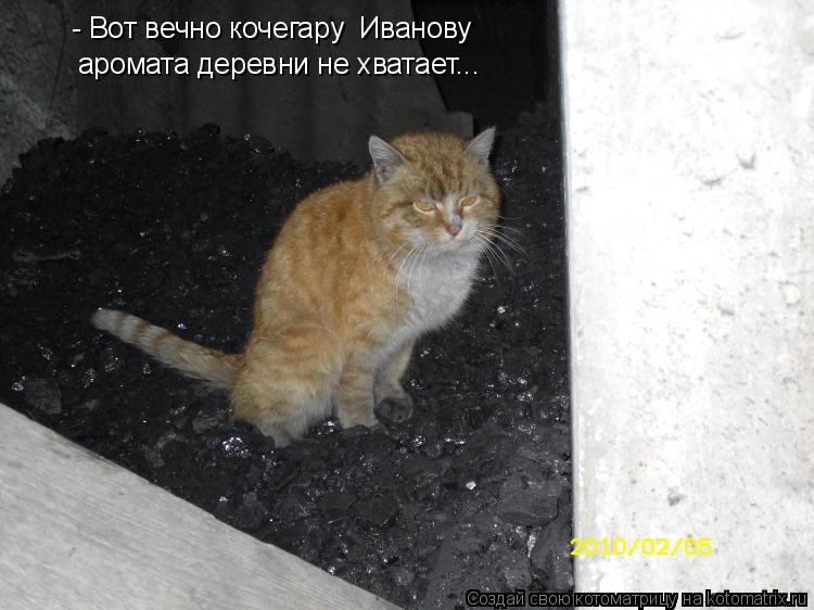 - Вот вечно кочегару Иванову аромата деревни не хватает...... Котоматрица: - Вот вечно кочегару Иванову аромата деревни не хватает...