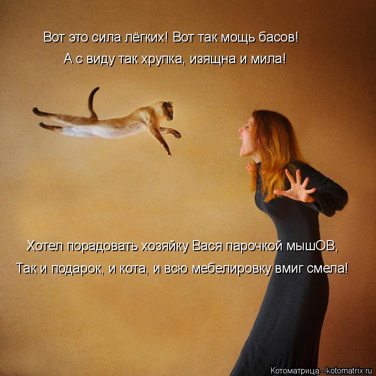 Котоматрица: Вот это сила лёгких! Вот так мощь басов! А с виду так хрупка, изящна и мила! Хотел порадовать хозяйку Вася парочкой мышОВ, Так и подарок, и кот