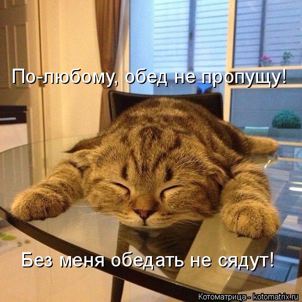 Котоматрица: По-любому, обед не пропущу! Без меня обедать не сядут!