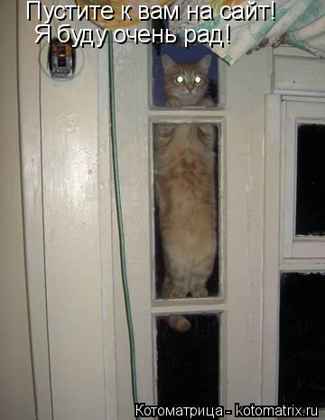 Котоматрица: Пустите к вам на сайт! Я буду очень рад!