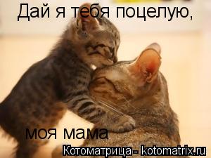 Котоматрица: Дай я тебя поцелую, моя мама