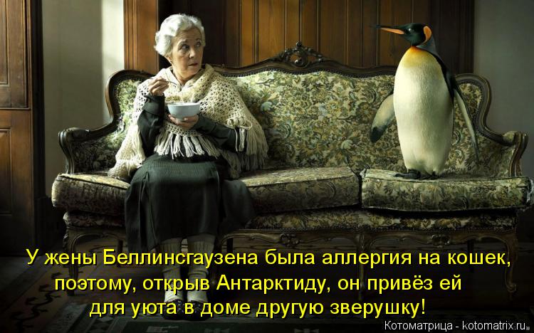 Котоматрица: У жены Беллинсгаузена была аллергия на кошек, поэтому, открыв Антарктиду, он привёз ей для уюта в доме другую зверушку!