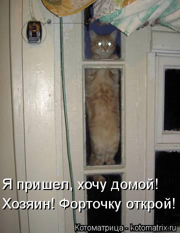 Котоматрица: Хозяин! Форточку открой! Я пришел, хочу домой!