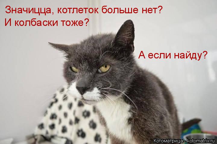 Котоматрица: Значицца, котлеток больше нет? И колбаски тоже? А если найду?