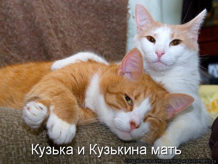 Котоматрица: Кузька и Кузькина мать