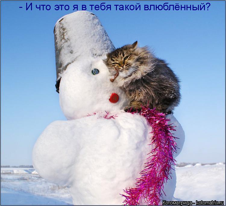 Котоматрица: - И что это я в тебя такой влюблённый?