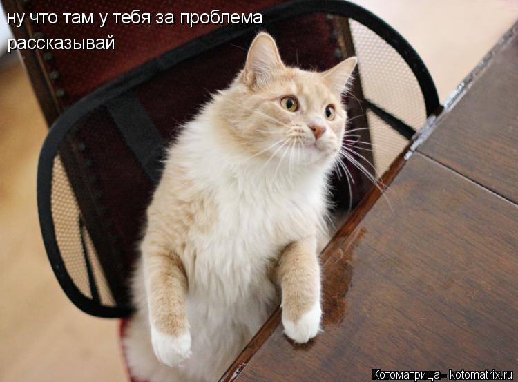 Котоматрица: ну что там у тебя за проблема рассказывай