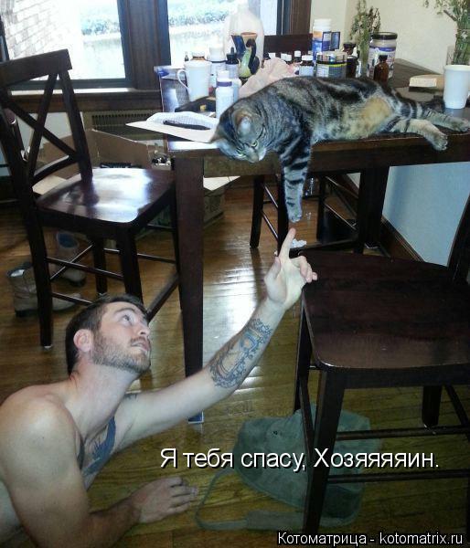 Котоматрица: Я тебя спасу, Хозяяяяин.