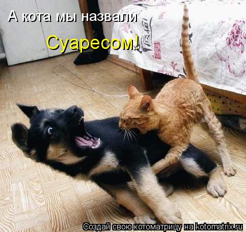 Котоматрица: А кота мы назвали Суаресом!
