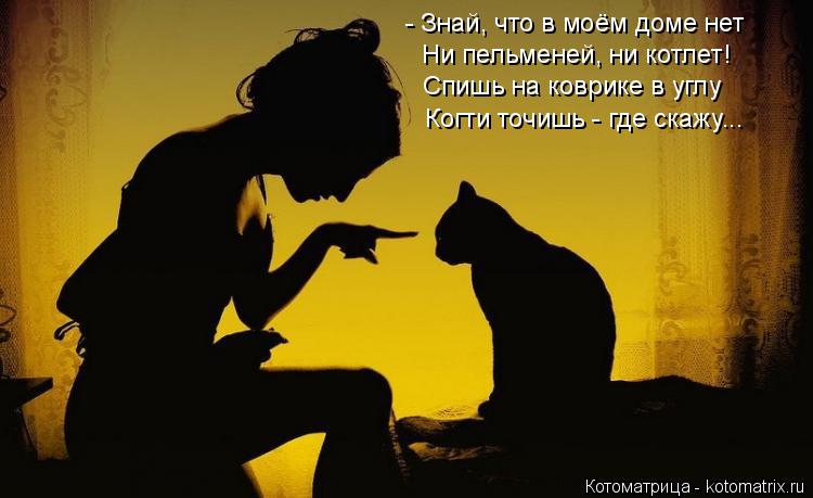 Котоматрица: - Знай, что в моём доме нет Ни пельменей, ни котлет! Спишь на коврике в углу Когти точишь - где скажу...