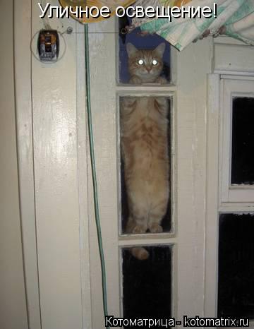 Котоматрица: Уличное освещение!