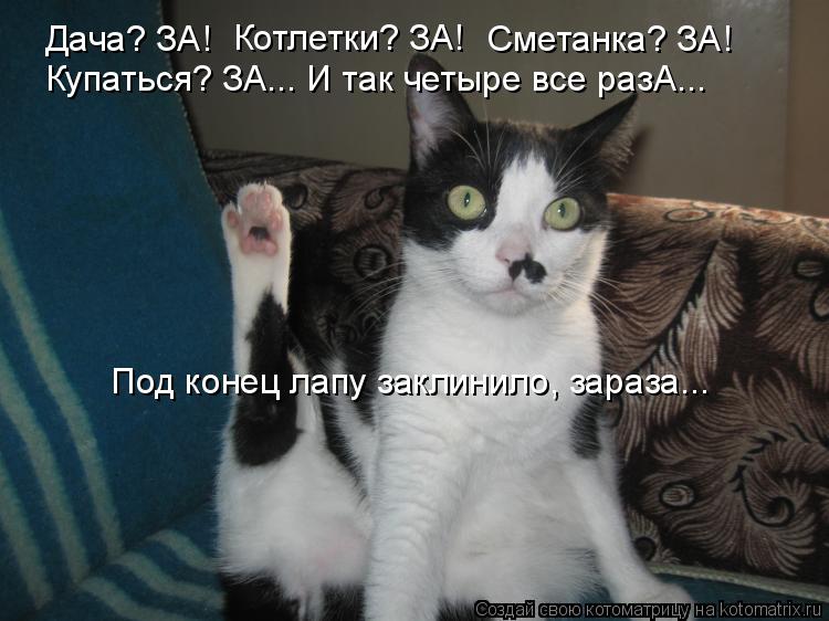 Котоматрица: Дача? ЗА! Котлетки? ЗА! Сметанка? ЗА! Купаться? ЗА... И так четыре все разА... Под конец лапу заклинило, зараза...