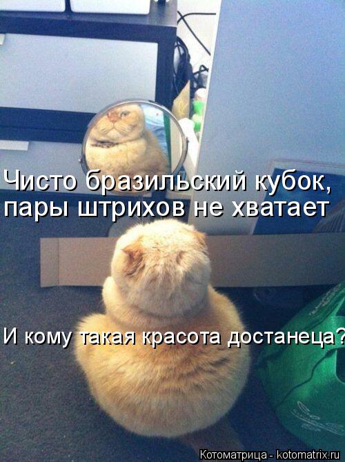 Котоматрица: Чисто бразильский кубок, пары штрихов не хватает И кому такая красота достанеца?