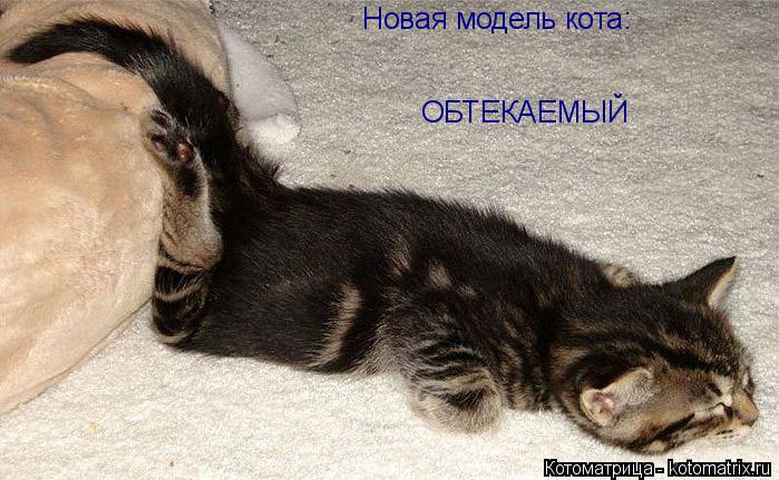Котоматрица: Новая модель кота: ОБТЕКАЕМЫЙ