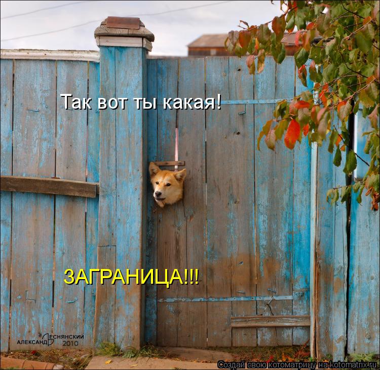 Котоматрица: Так вот ты какая! ЗАГРАНИЦА!!!