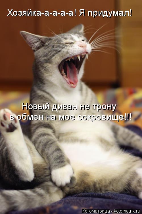 Котоматрица: Хозяйка-а-а-а-а! Я придумал!  Новый диван не трону в обмен на мое сокровище!!!