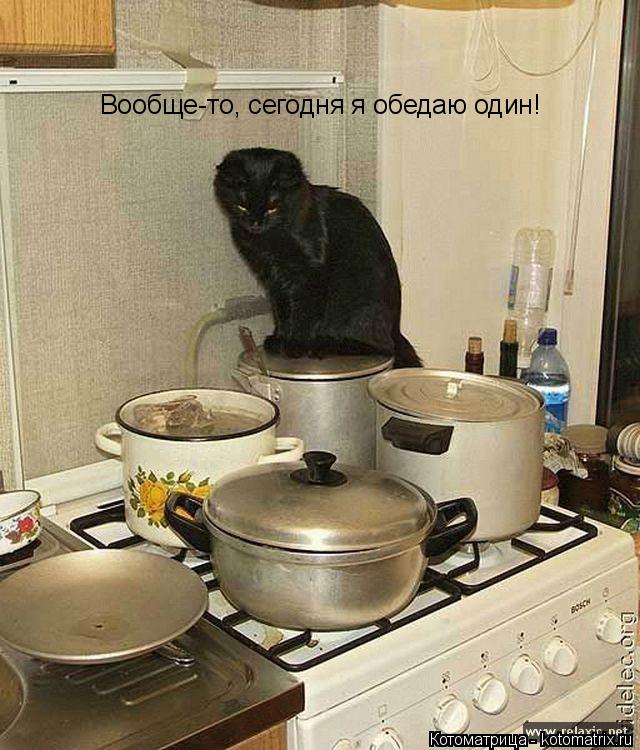 Вообще-то, сегодня я обедаю один!... Котоматрица: Вообще-то, сегодня я обедаю один!