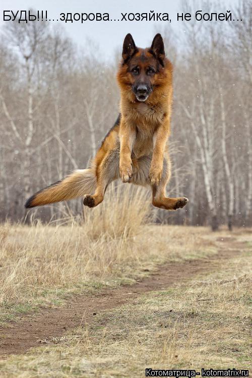 БУДЬ!!!...здорова...хозяйка, не болей...... Котоматрица: БУДЬ!!!...здорова...хозяйка, не болей...