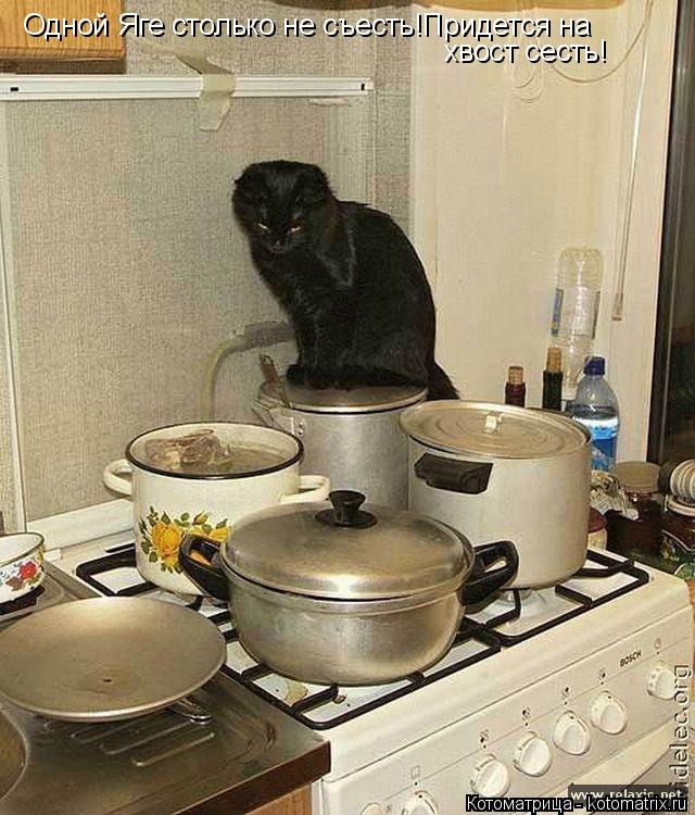 Одной Яге столько не съесть!Придется на хвост сесть!... Котоматрица: Одной Яге столько не съесть!Придется на хвост сесть!