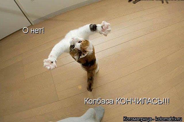 Котоматрица: О нет! Колбаса КОНЧИЛАСЬ!!!