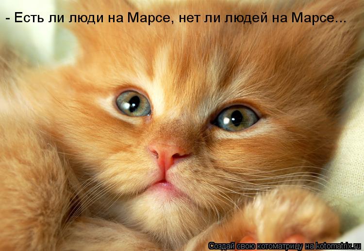 Котоматрица: - Есть ли люди на Марсе, нет ли людей на Марсе...