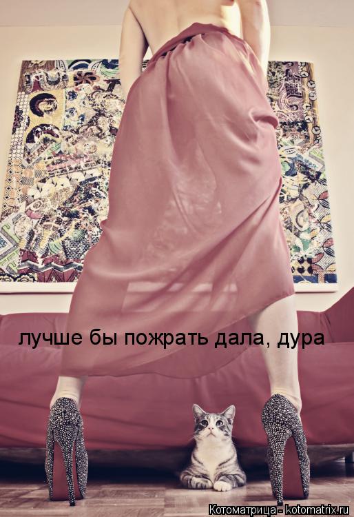 лучше бы пожрать дала, дура... Котоматрица: лучше бы пожрать дала, дура