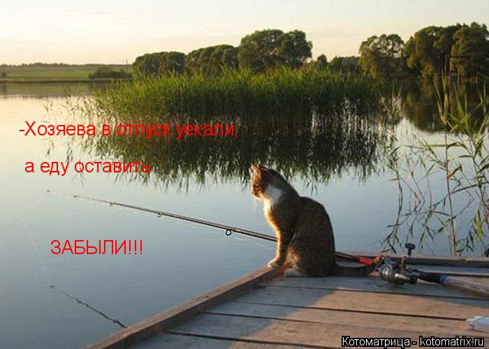 -Хозяева в отпуск уехали, а еду оставить ЗАБЫЛИ!!!... Котоматрица: -Хозяева в отпуск уехали, а еду оставить ЗАБЫЛИ!!!