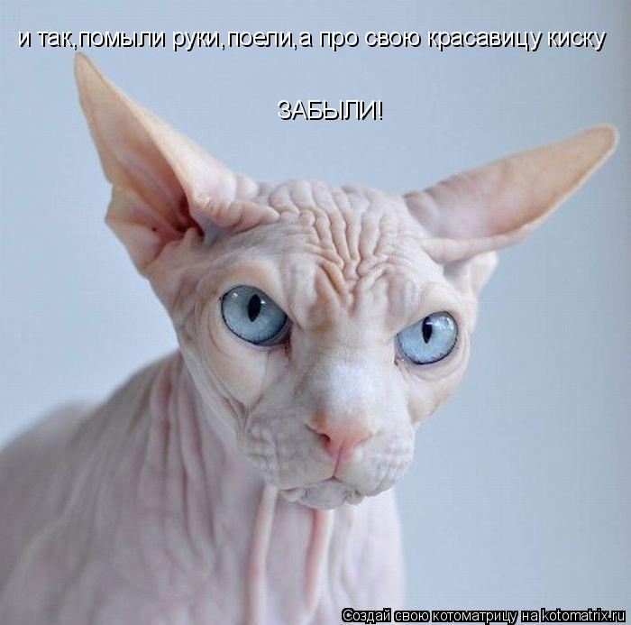 и так,помыли руки,поели,а про свою красавицу киску ЗАБЫЛИ!... Котоматрица: и так,помыли руки,поели,а про свою красавицу киску ЗАБЫЛИ!