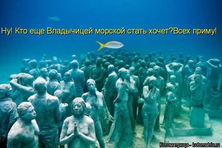 Котоматрица: Ну! Кто еще Владычицей морской стать хочет?Всех приму!