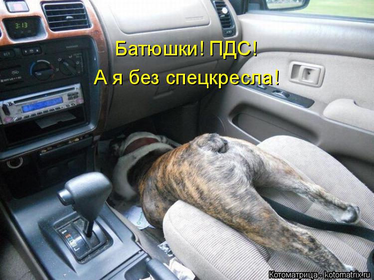 Батюшки! ПДС! А я без спецкресла!... Котоматрица: Батюшки! ПДС! А я без спецкресла!