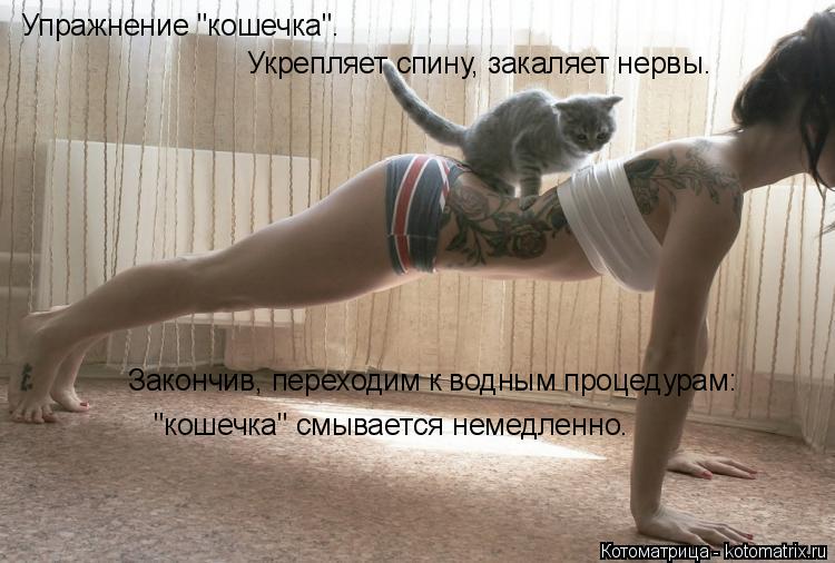 Котоматрица: Упражнение "кошечка".  Укрепляет спину, закаляет нервы. Закончив, переходим к водным процедурам: "кошечка" смывается немедленно.