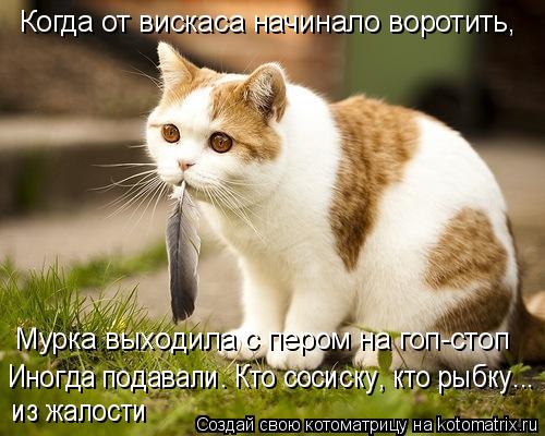 Когда от вискаса начинало воротить, Мурка выходила с пером на гоп-стоп Иногда подавали. Кто сосиску, ... Котоматрица: Когда от вискаса начинало воротить, Мурка выходила с пером на гоп-стоп Иногда подавали. Кто сосиску, кто рыбку... из жалости