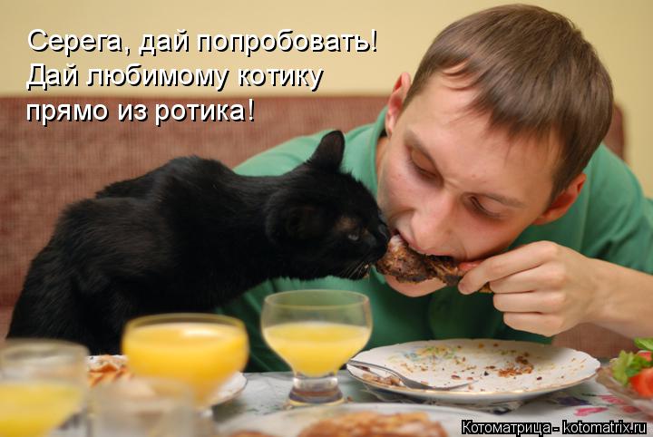 Котоматрица: Серега, дай попробовать! Дай любимому котику прямо из ротика!