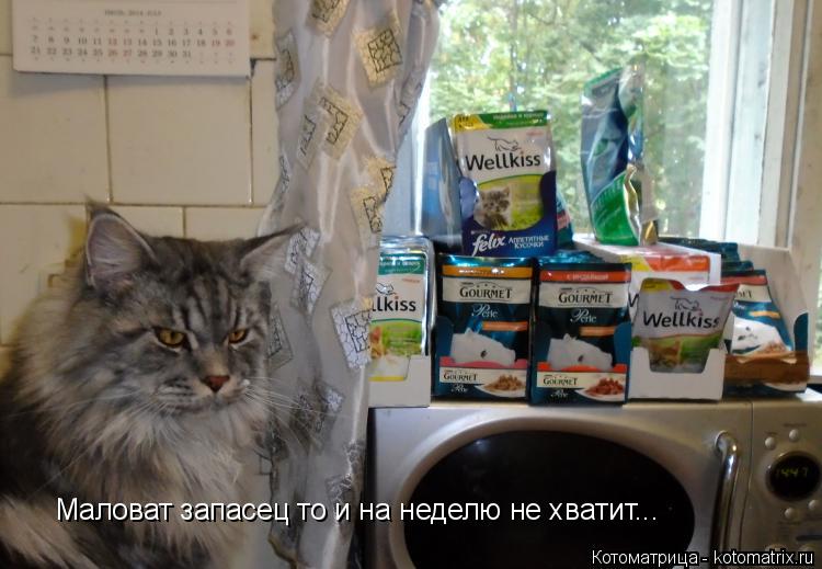 Маловат запасец то и на неделю не хватит...... Котоматрица: Маловат запасец то и на неделю не хватит...