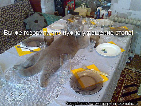 -Вы же говорили,что нужно украшение стола!... Котоматрица: -Вы же говорили,что нужно украшение стола!