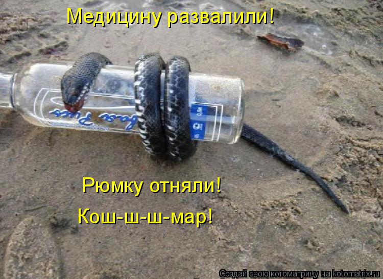 Медицину развалили! Рюмку отняли! Кош-ш-ш-мар!... Котоматрица: Медицину развалили! Рюмку отняли! Кош-ш-ш-мар!