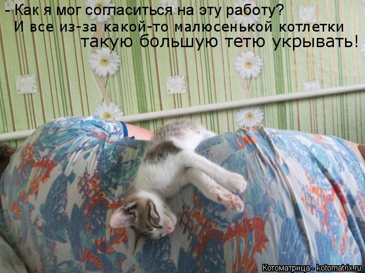 Котоматрица: - Как я мог согласиться на эту работу?  И все из-за какой-то малюсенькой котлетки   такую большую тетю укрывать!
