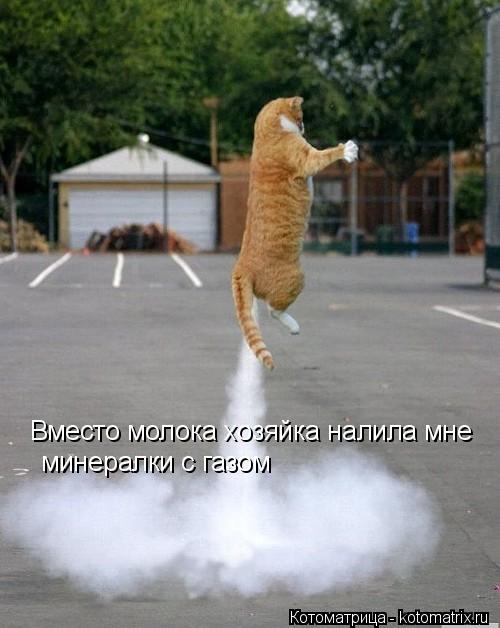 Вместо молока хозяйка налила мне минералки с газом... Котоматрица: Вместо молока хозяйка налила мне минералки с газом