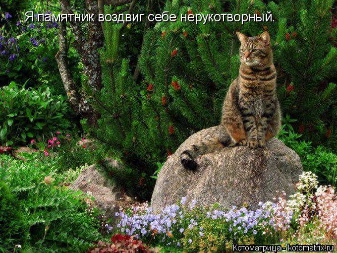Котоматрица: Я памятник воздвиг себе нерукотворный.