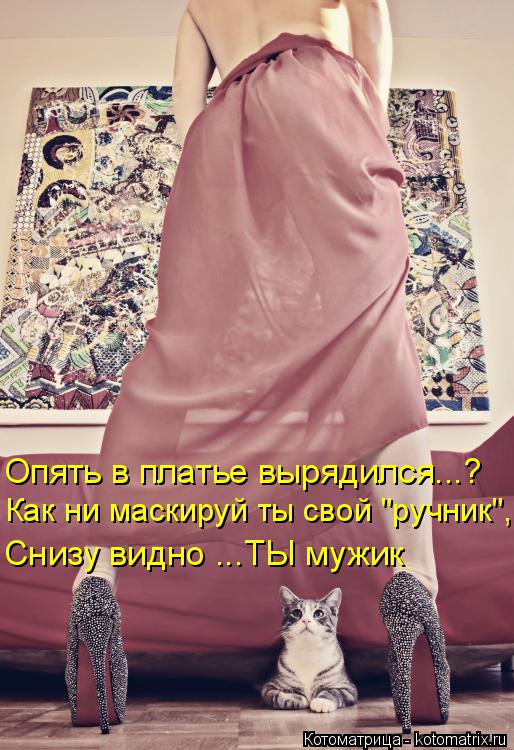 Котоматрица: Опять в платье вырядился...? Как ни маскируй ты свой "ручник", Снизу видно ...ТЫ мужик