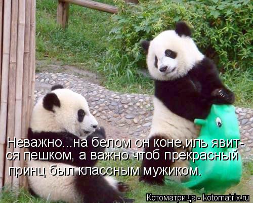 Котоматрица: Неважно...на белом он коне,иль явит- ся пешком, а важно чтоб прекрасный принц был классным мужиком.