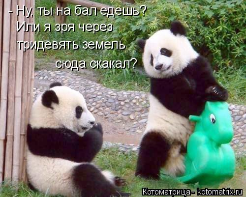 Котоматрица: - Ну, ты на бал едешь? Или я зря через тридевять земель сюда скакал?