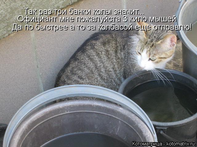 Котоматрица: Так раз три банки колы значит...  Официант мне пожалуйста 3 кило мышей Да по быстрее а то за колбасой ещё отправлю!
