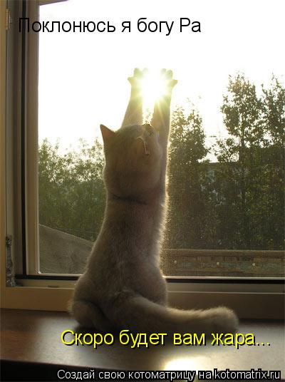 Котоматрица: Поклонюсь я богу Ра Скоро будет вам жара...