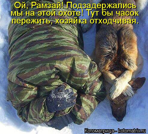 Котоматрица: Ой, Рамзай! Подзадержались  мы на этой охоте! Тут бы часок  пережить, хозяйка отходчивая.